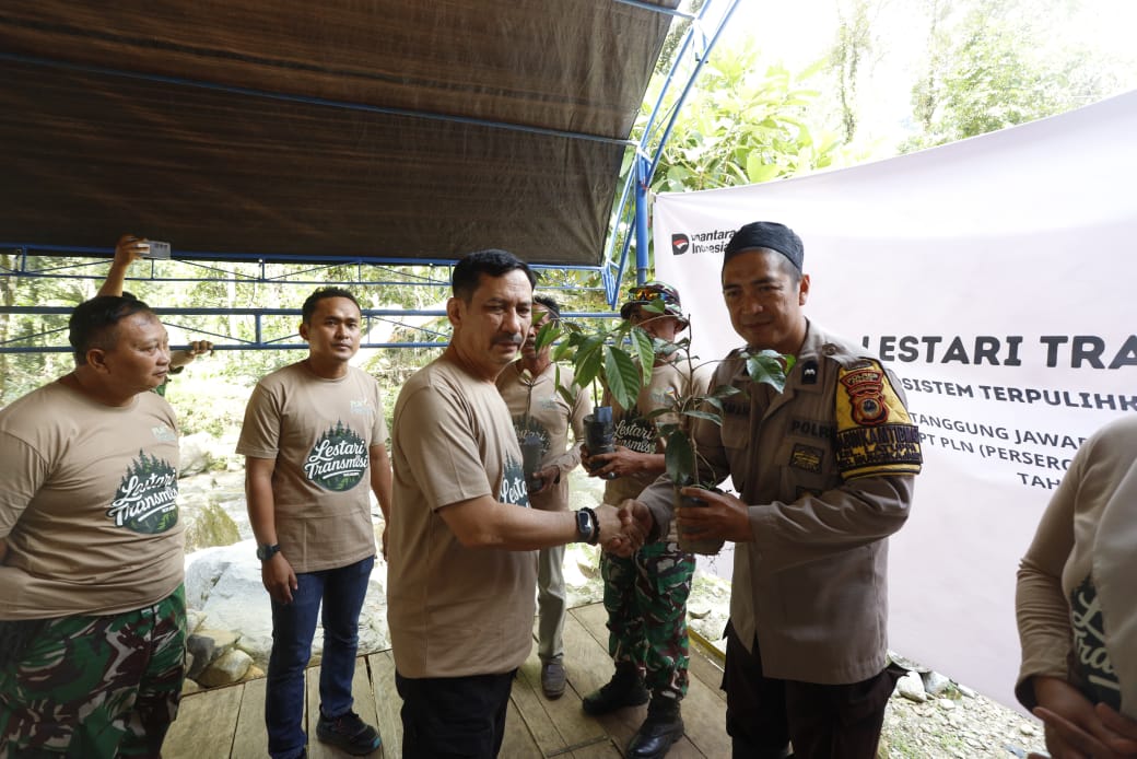 PLN Serahkan 2.000 Bibit Pohon Kepada Pemkot Kota Palopo