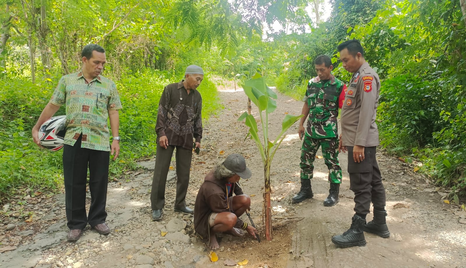 Bosan di Janji Warga Selayar Pilih Tanam Pisang di Tengah Jalan