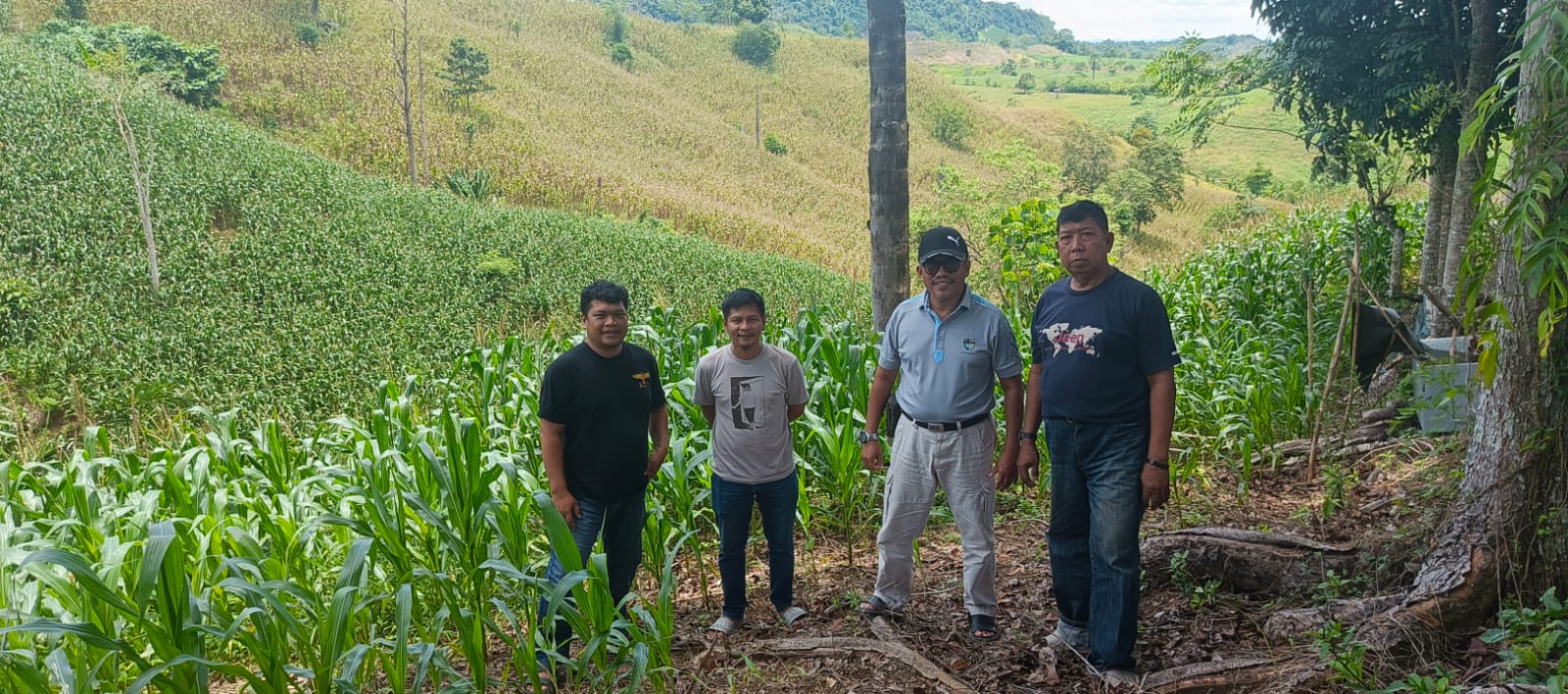 Desa Compong, Potensi Kuat Jadi Sentra Budidaya Jagung Kabupaten Sidenreng Rappang