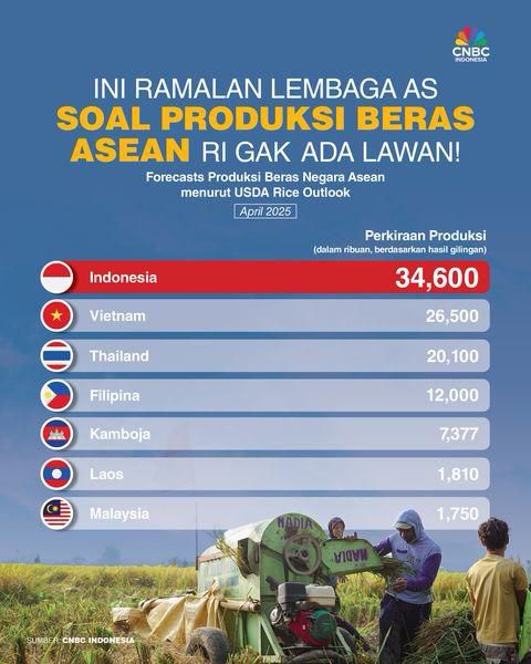 Departemen Pertanian Amerika Serikat Ramalkan Produksi Beras Indonesia Tertinggi di ASEAN