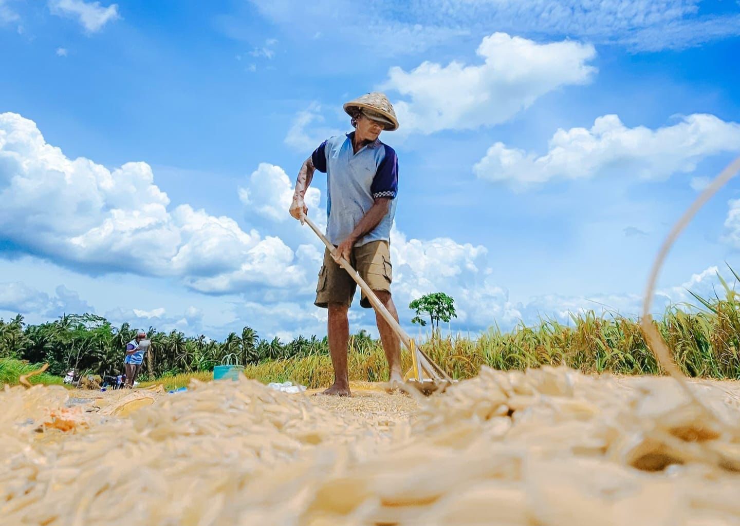 Kesejahteraan Petani Kian Meningkat, Nilai Tukar Petani September Tembus 124,36