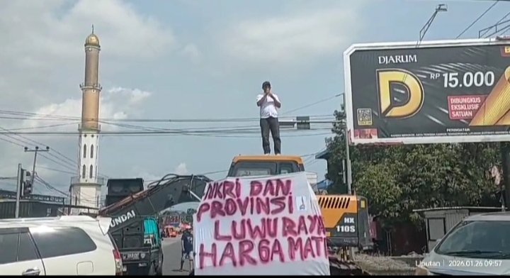 Trans Sulawesi Lumpuh Total! Ekskavator dan Pohon Tumbang Tutupi Akses Jalan
