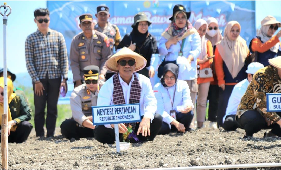 Mentan Amran Canangkan Majene Jadi "Kabupaten Bawang" di Sulawesi Barat, Pasok Kawasan Timur Indonesia
