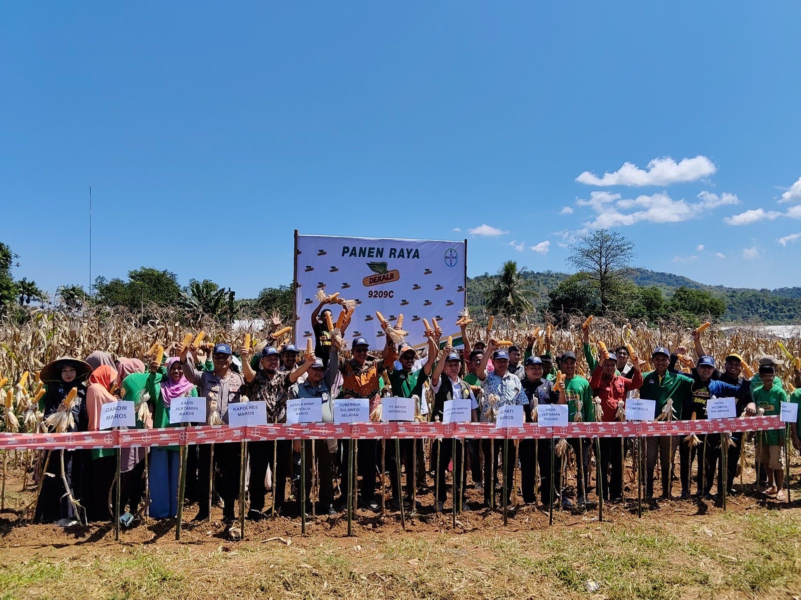 PANEN RAYA JAGUNG: SINERGI UNTUK MENCAPAI SWASEMBADA PANGAN MELALUI BENIH UNGGUL DAN KEMITRAAN STRATEGIS