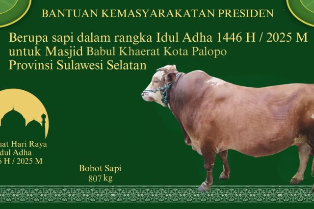Presiden Prabowo Subianto Kirim Sapi Kurban Raksasa Untuk Kota Palopo