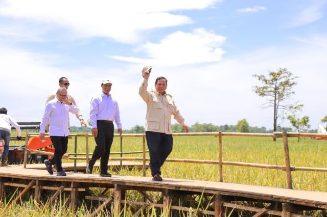Mentan Amran, "Sentuhan Ajaib” Presiden Prabowo Hentikan Impor Beras