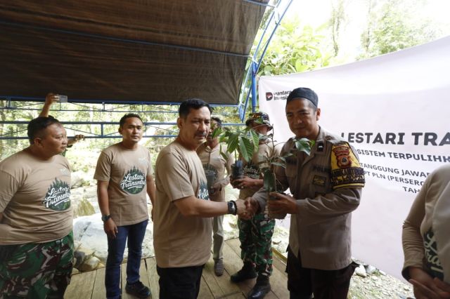 PLN Serahkan 2.000 Bibit Pohon Kepada Pemkot Kota Palopo