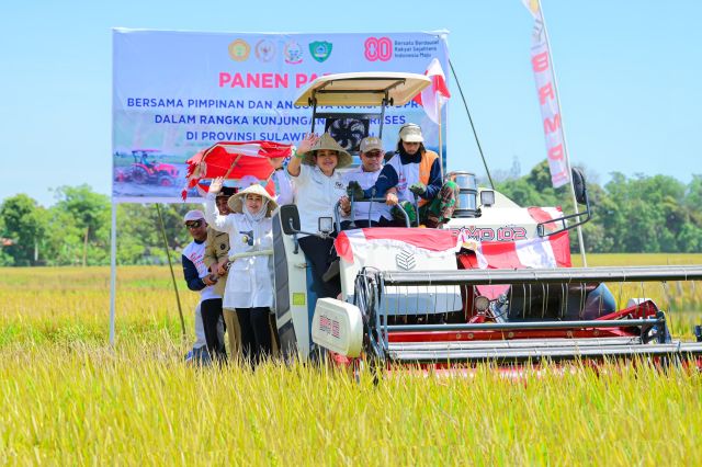 Wagub Sulsel Dampingi Komisi IV DPR RI Panen Raya di Maros, Teguhkan Komitmen Lumbung Pangan Nasional