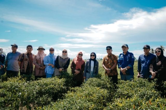 Pemerintah Kota Palopo dan Wajo Bahas Kolaborasi Sektor Pertanian