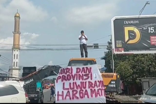 Trans Sulawesi Lumpuh Total! Ekskavator dan Pohon Tumbang Tutupi Akses Jalan