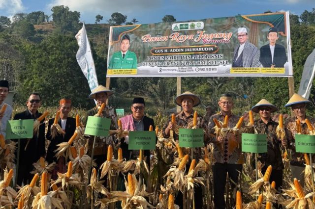 Ketum PP GP Ansor Kunjungan Ke Sulsel! Gelar Silaturahmi Akbar dan Panen Raya Jagung