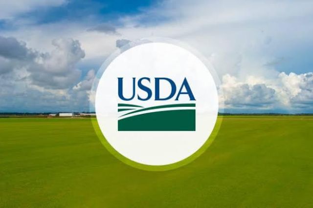Lembaga Amerika Serikat Akui Lompatan Produksi Beras Indonesia, Thailand Kecewa