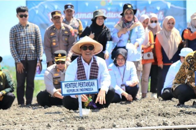 Mentan Amran Canangkan Majene Jadi "Kabupaten Bawang" di Sulawesi Barat, Pasok Kawasan Timur Indonesia