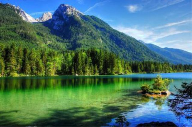 Nature2